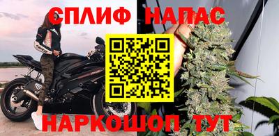 скорость Дубна