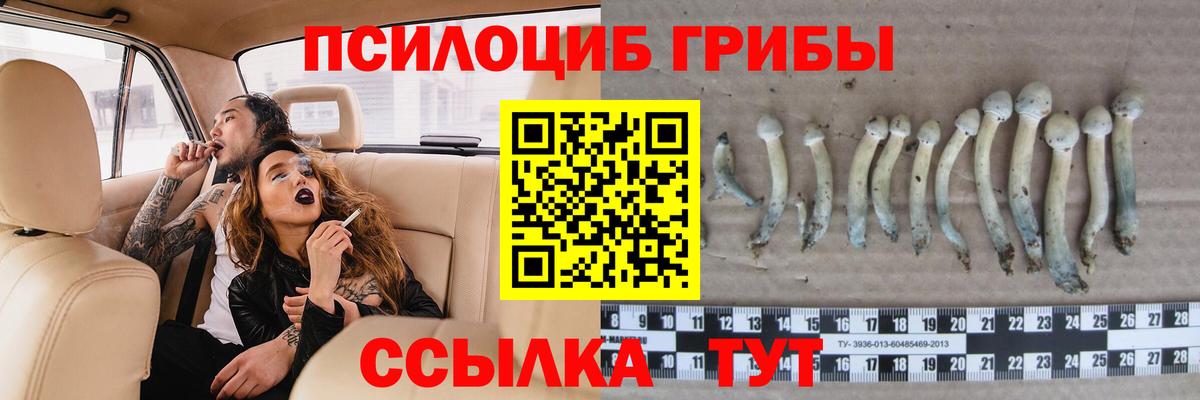 Псилоцибиновые грибы Cubensis  Псилоцибиновые грибы мицелий  Вход с VPN  Муравленко 