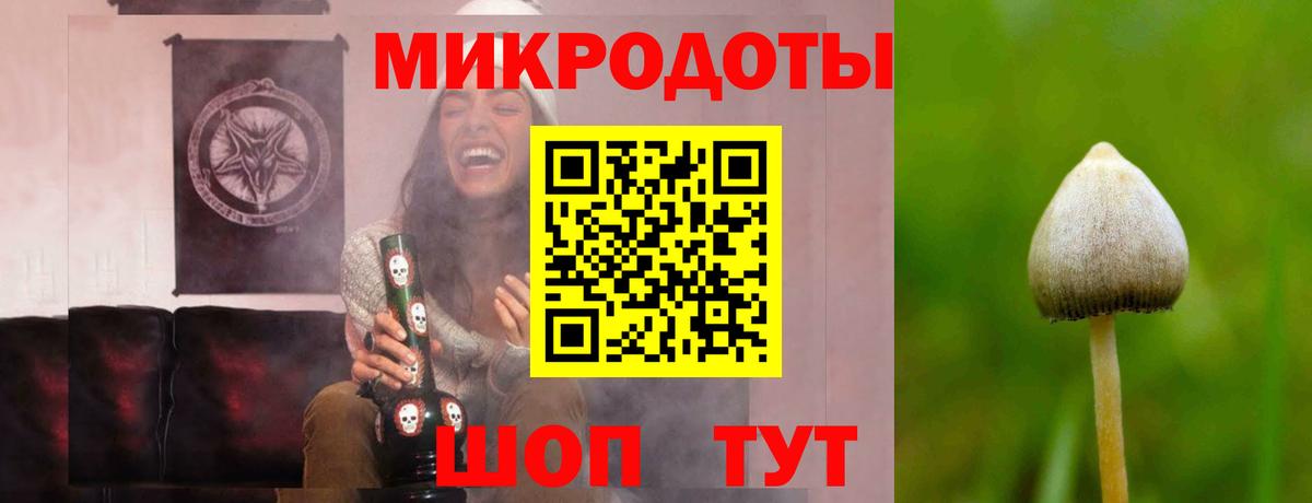 Галлюциногенные грибы Psilocybine cubensis Муравленко